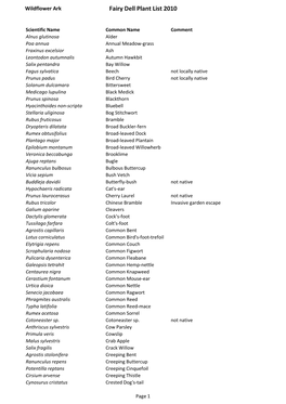 Fairy Dell Plant List 2010