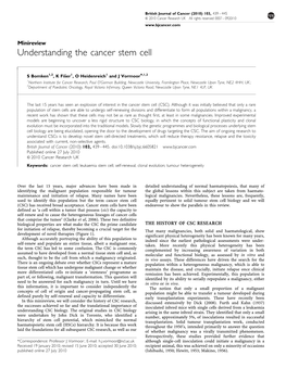 Understanding the Cancer Stem Cell