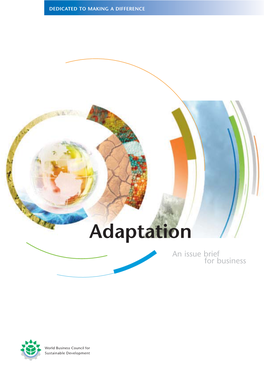 Adaptation an Issue Brief for Business