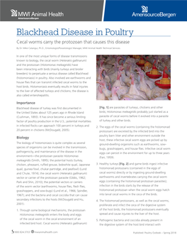 Blackhead Disease in Poultry Cecal Worms Carry the Protozoan That Causes This Disease