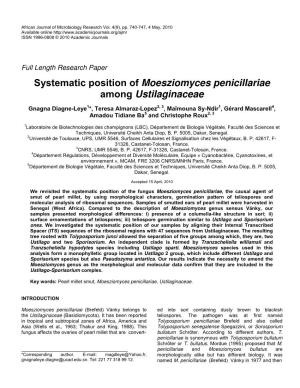 Systematic Position of Moesziomyces Penicillariae Among Ustilaginaceae