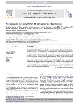 Deep Metazoan Phylogeny: When Different Genes Tell Different Stories