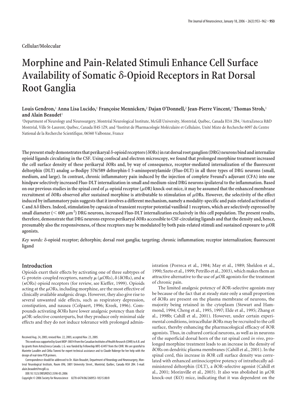 Morphine and Pain-Related Stimuli Enhance Cell Surface Availability of Somaticδ-Opioid Receptors in Rat Dorsal Root Ganglia