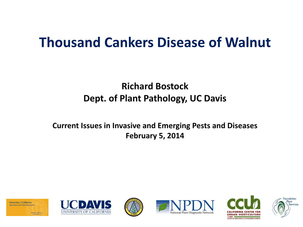 Thousand Cankers Disease of Walnut