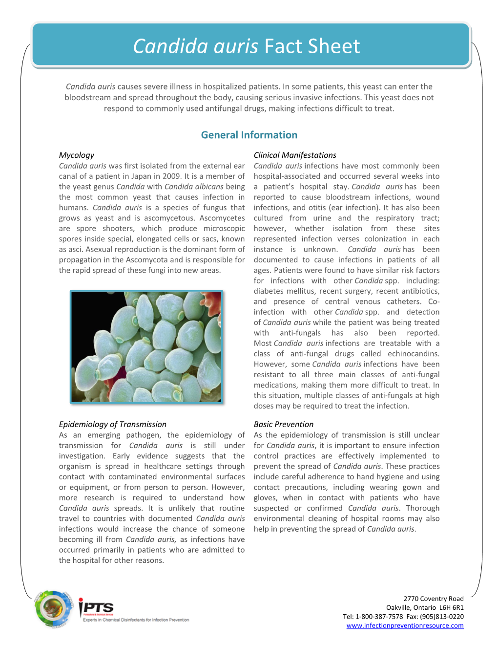 Candida Auris Fact Sheet