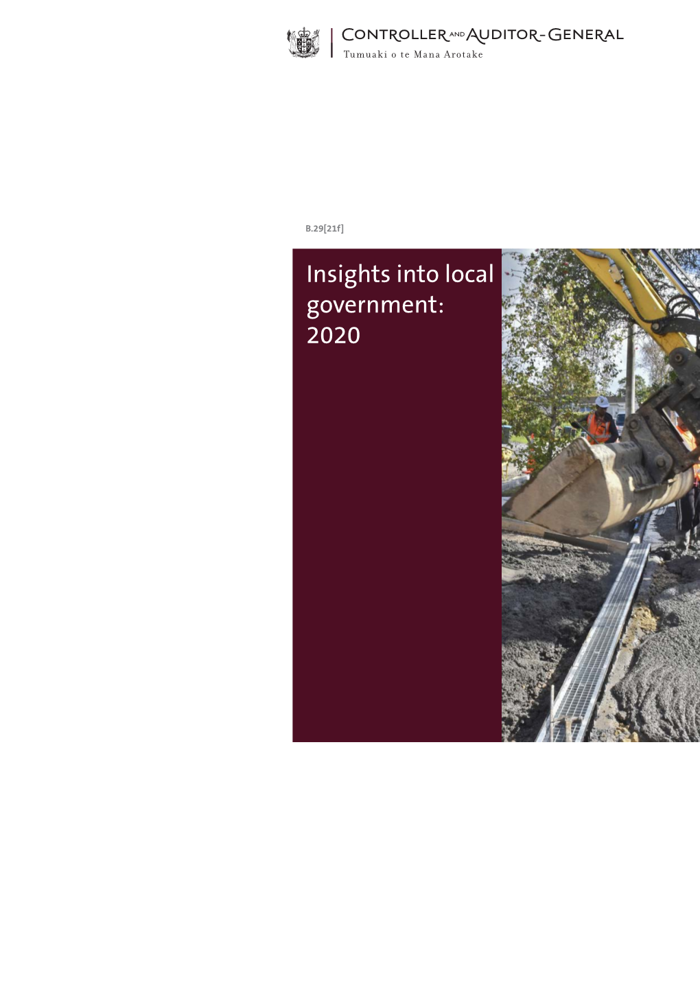 Insights Into Local Government: 2020