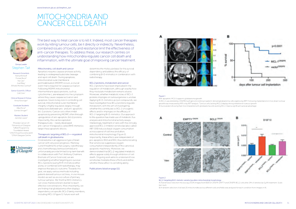 Mitochondria and Cancer Cell Death