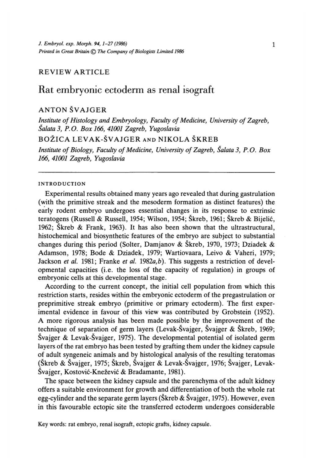 Rat Embryonic Ectoderm As Renal Isograft