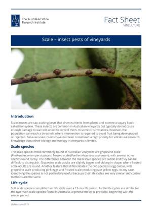 Scale – Insect Pests of Vineyards (AWRI Fact Sheet