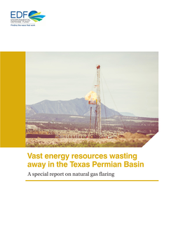 Vast Energy Resources Wasting Away in the Texas Permian Basin a Special Report on Natural Gas Flaring FLARING REPORT 2