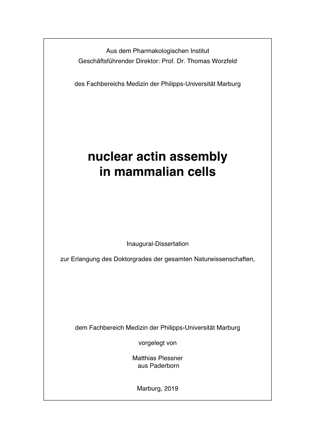 Nuclear Actin Assembly in Mammalian Cells