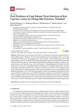 First Evidence of Carp Edema Virus Infection of Koi Cyprinus Carpio in Chiang Mai Province, Thailand