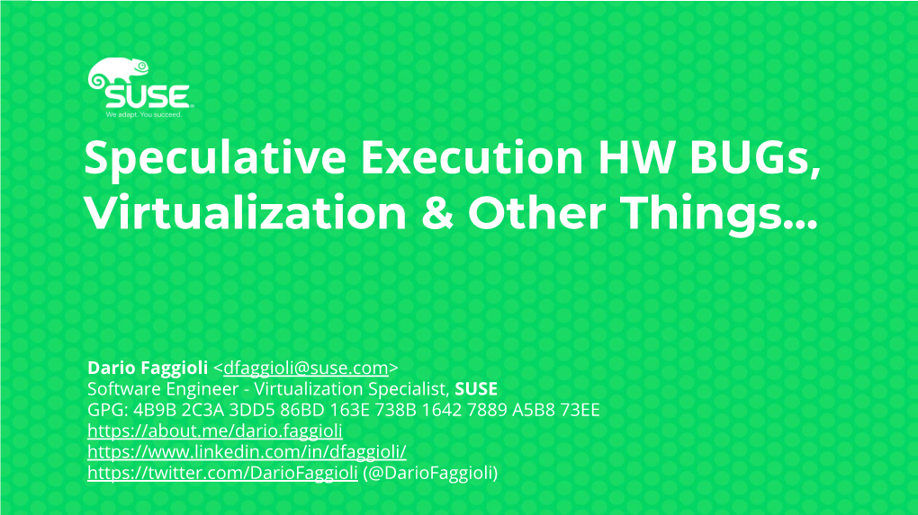 Speculative Execution HW Bugs, Virtualization & Other Things