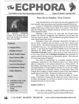 Rare River Dolphin 'Now Extinct'