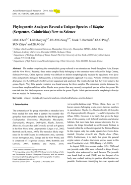 Phylogenetic Analyses Reveal a Unique Species of Elaphe (Serpentes, Colubridae) New to Science