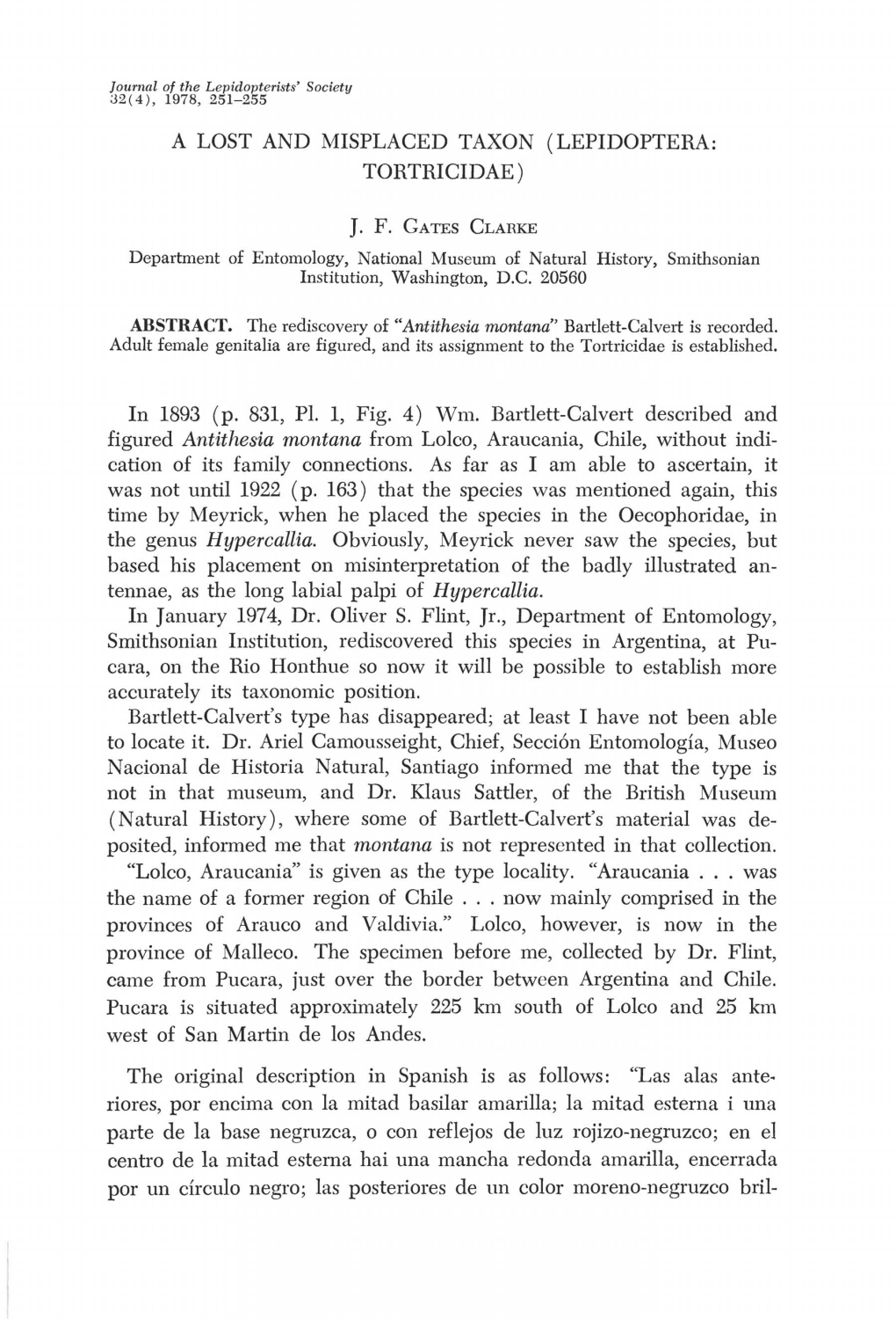 A LOST and MISPLACED TAXON (LEPIDOPTERA: TORTRICIDAE) In