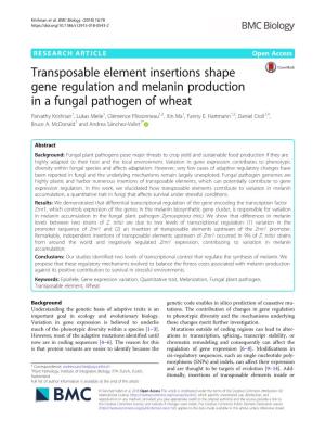 Transposable Element Insertions Shape Gene Regulation and Melanin