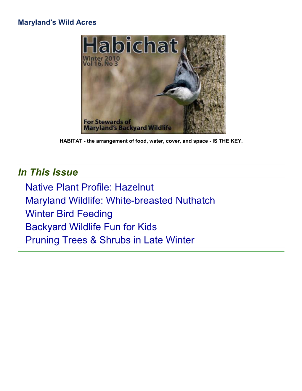 White-Breasted Nuthatch Winter Bird Feeding Backyard Wildlife Fun for Kids Pruning Trees & Shrubs in Late Winter
