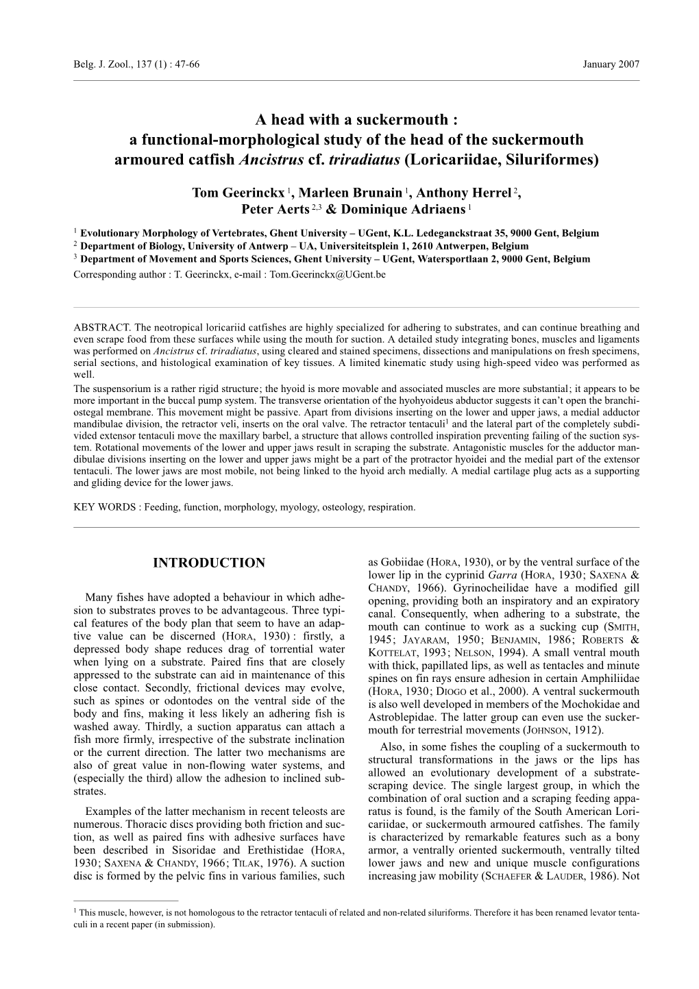 A Functional-Morphological Study of the Head of the Suckermouth Armoured Catfish Ancistrus Cf. Triradiatus (Loricariidae, Siluriformes)