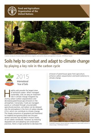 Soils Help to Combat and Adapt to Climate Change by Playing a Key Role in the Carbon Cycle