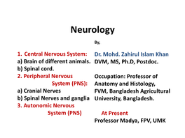 Nervous System (CNS): Consisting of Brain and Spinal Cord