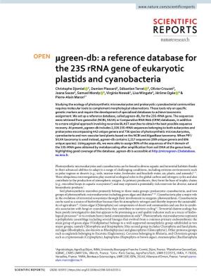 A Reference Database for the 23S Rrna Gene of Eukaryotic