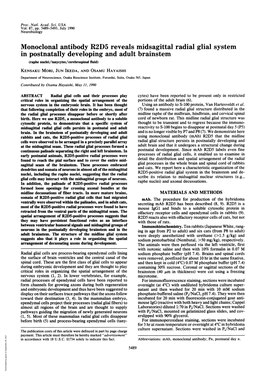 Monoclonal Antibody R2D5 Reveals Midsagittal Radial Glial System In