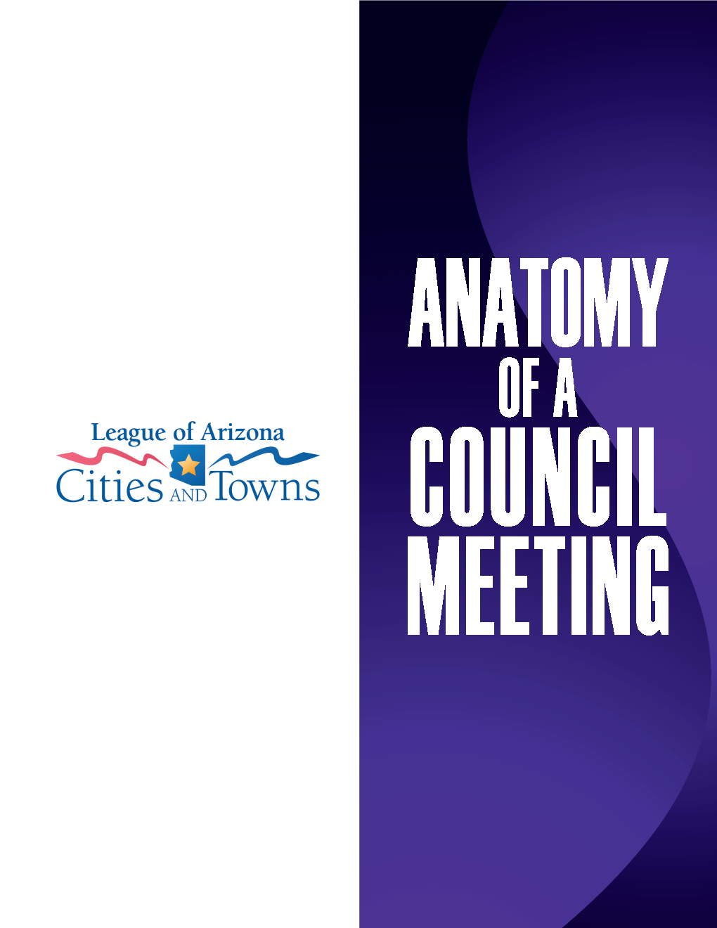 Anatomy of a Council Meeting