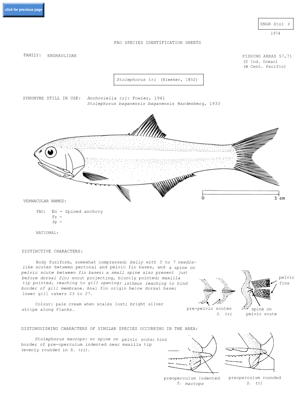 (E Ind. Ocean) (W Cent. Pacific) FAO: En