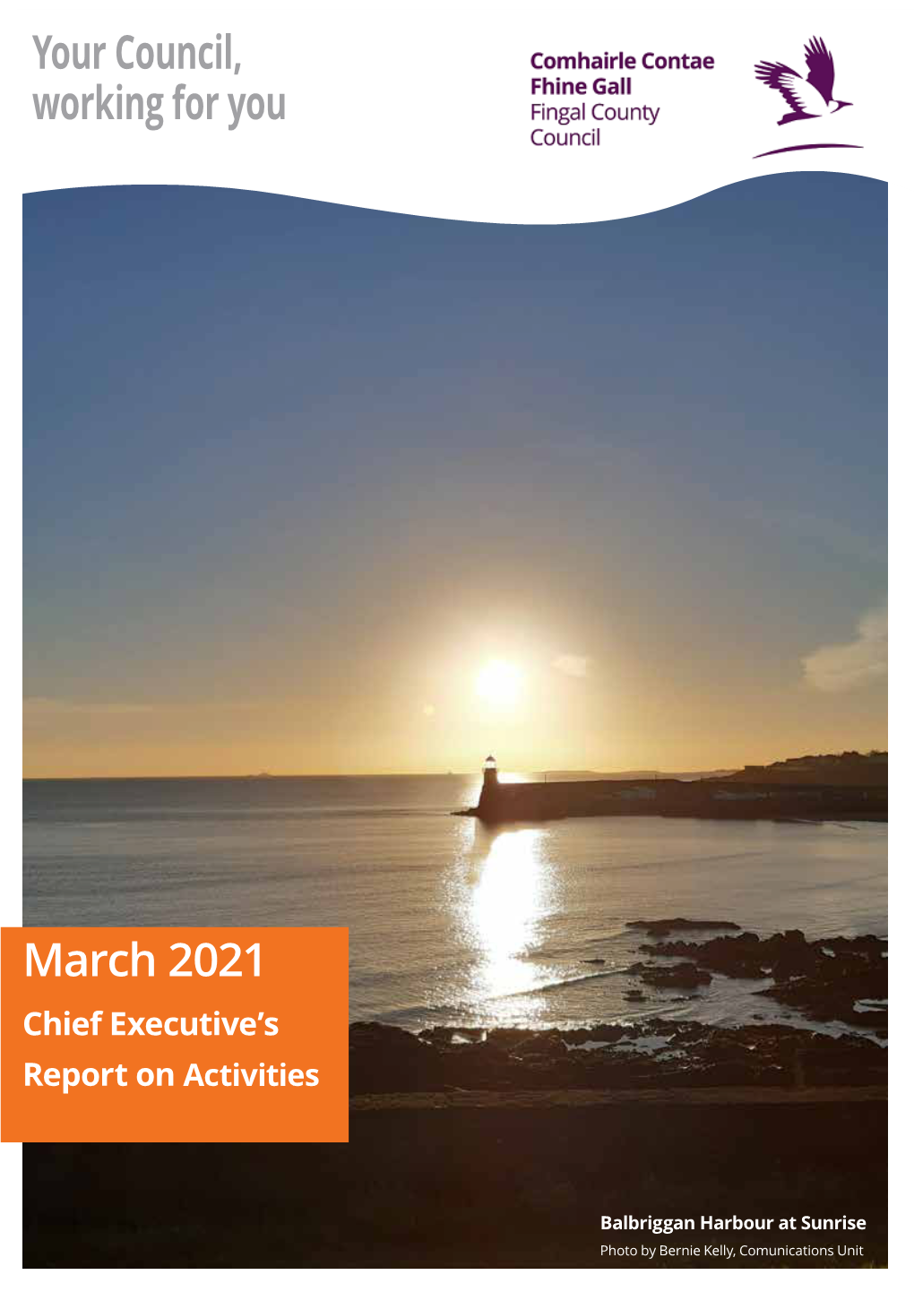 March 2021 Chief Executive’S Report on Activities