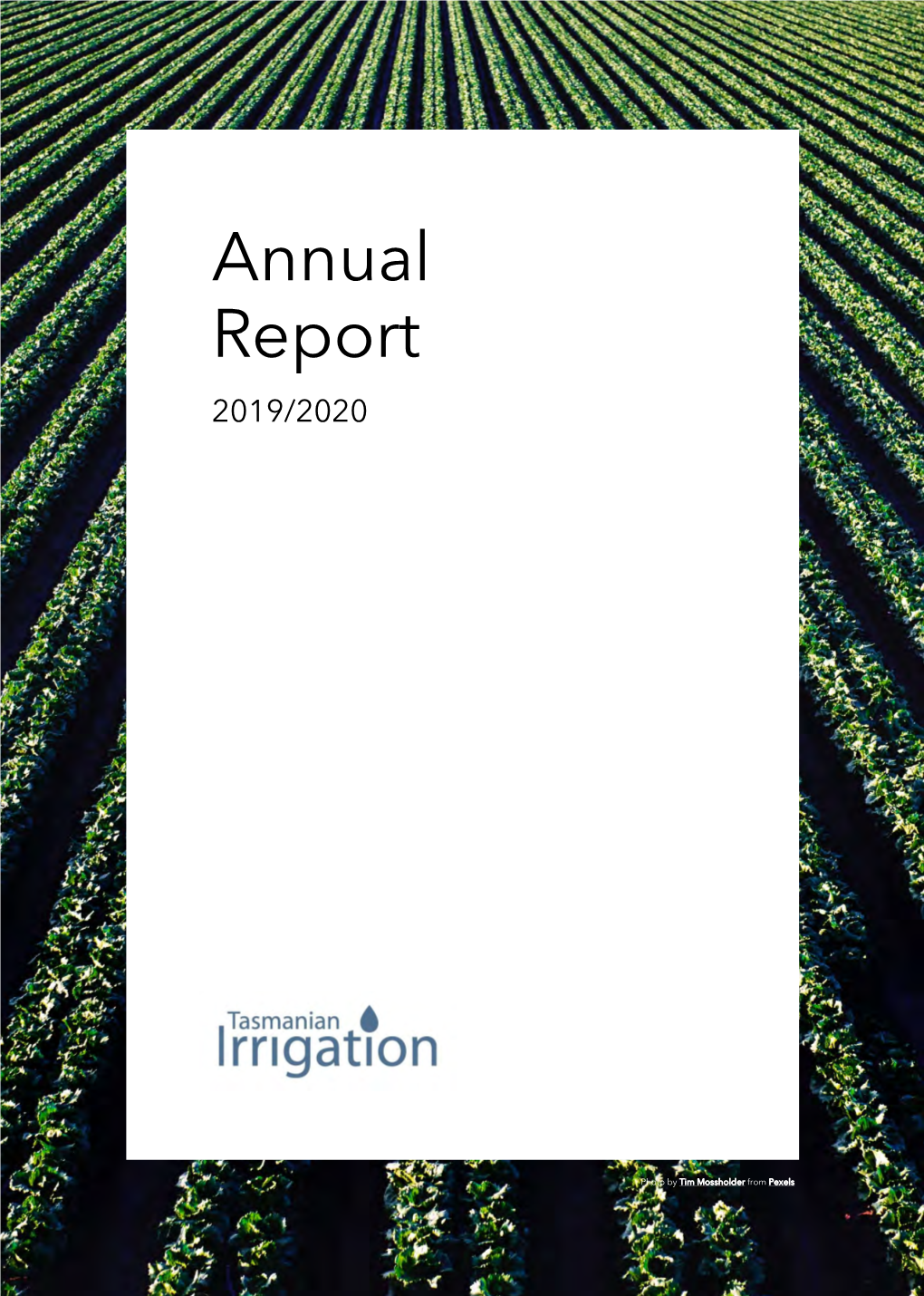 TI Annual Report 2019-20