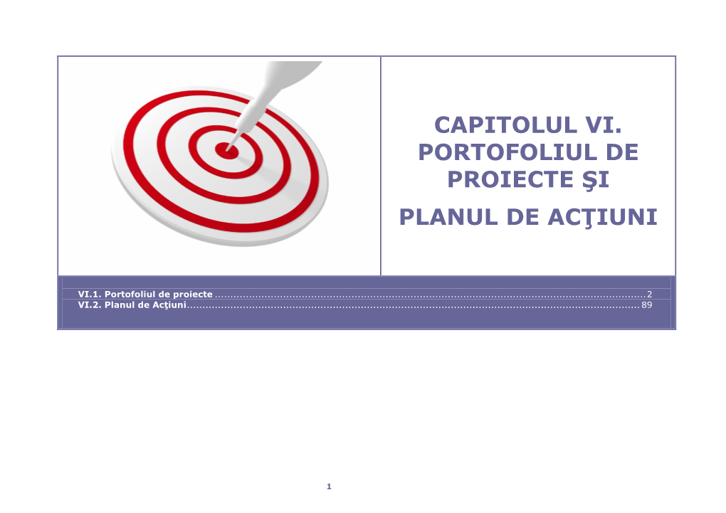 Capitolul Vi. Portofoliul De Proiecte Şi Planul De Acţiuni