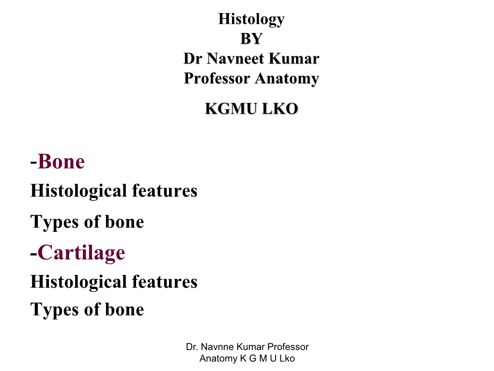 Bone Histology [PDF]