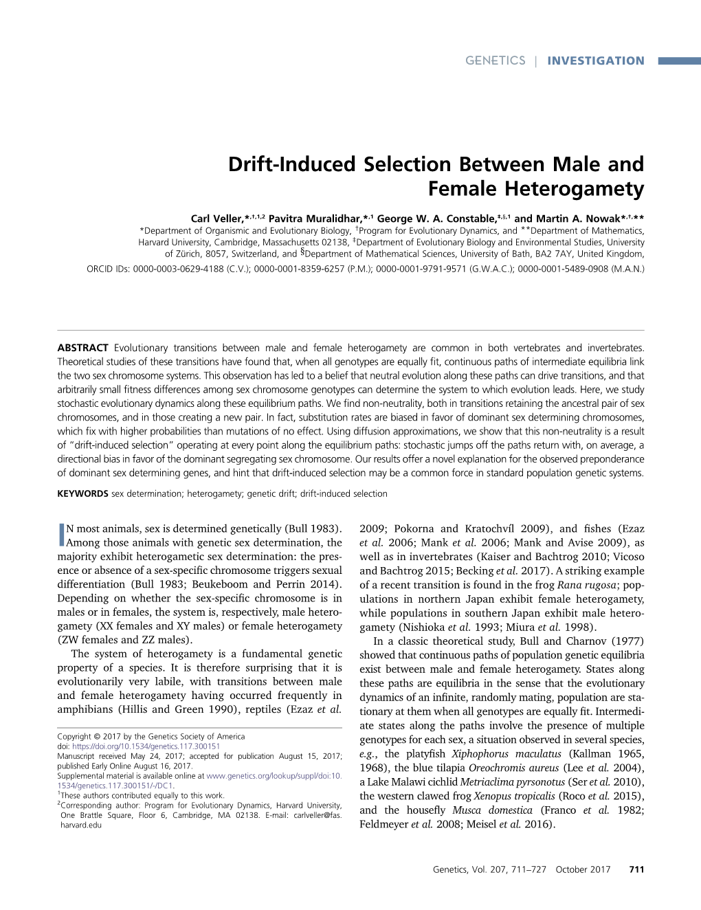 Drift-Induced Selection Between Male and Female Heterogamety