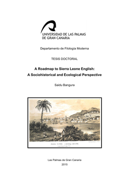 "A Roadmap to Sierra Leone English: a Sociohistorical and Ecological Perspective