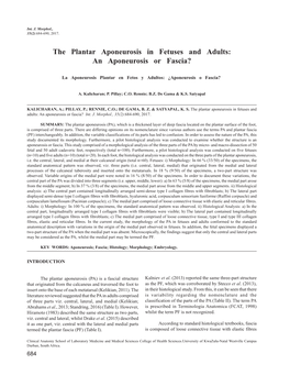 The Plantar Aponeurosis in Fetuses and Adults: an Aponeurosis Or Fascia?