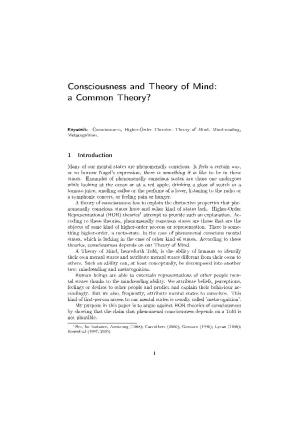 Consciousness and Theory of Mind: a Common Theory?