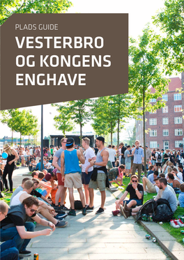 Plads Guide Vesterbro Og Kongens Enghave