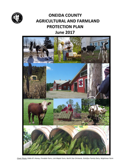 ONEIDA COUNTY AGRICULTURAL and FARMLAND PROTECTION PLAN June 2017