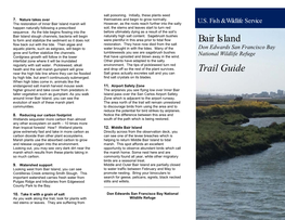 Bair Island Trail Guide