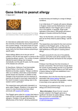 Gene Linked to Peanut Allergy 11 March 2011