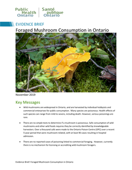 Evidence Brief: Foraged Mushroom Consumption in Ontario  Wild Mushrooms Are Found in Ontario’S Farmers’ Markets