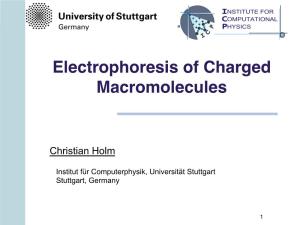 Electrophoresis of Charged Macromolecules