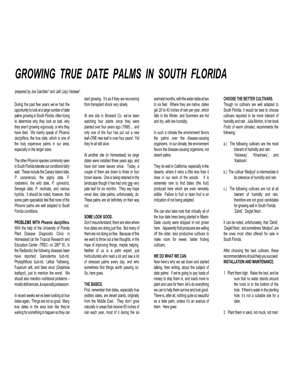 how-to-grow-and-care-for-date-palm-trees