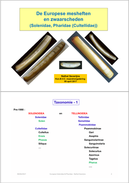 De Europese Mesheften En Zwaarscheden (Solenidae, Pharidae (Cultellidae))
