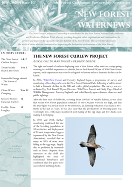 New Forest Waternews