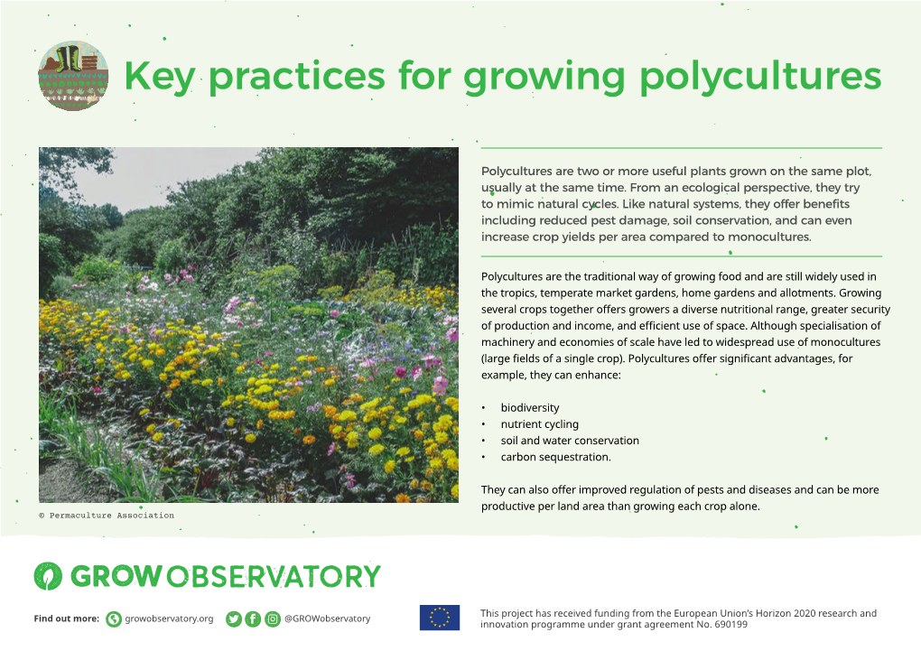 Key Practices for Growing Polycultures