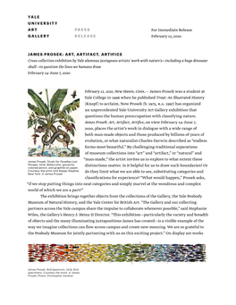 James Prosek: Art, Artifact, Artifice Press Release