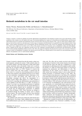 Retinoid Metabolism in the Rat Small Intestine