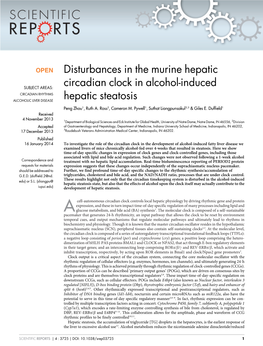 Disturbances in the Murine Hepatic Circadian Clock in Alcohol-Induced Hepatic Receptors REV-Erbalpha and REV-Erbbeta